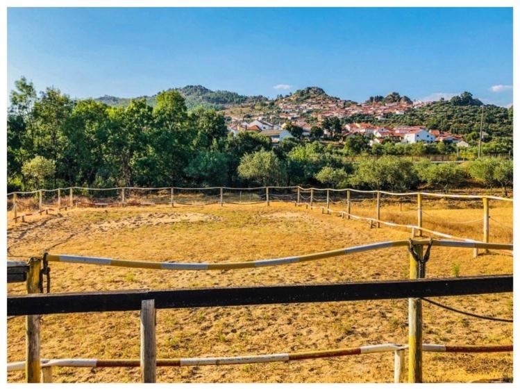 Casa Vinte & Cinco Alojamento Local Penha Garcia Ngoại thất bức ảnh